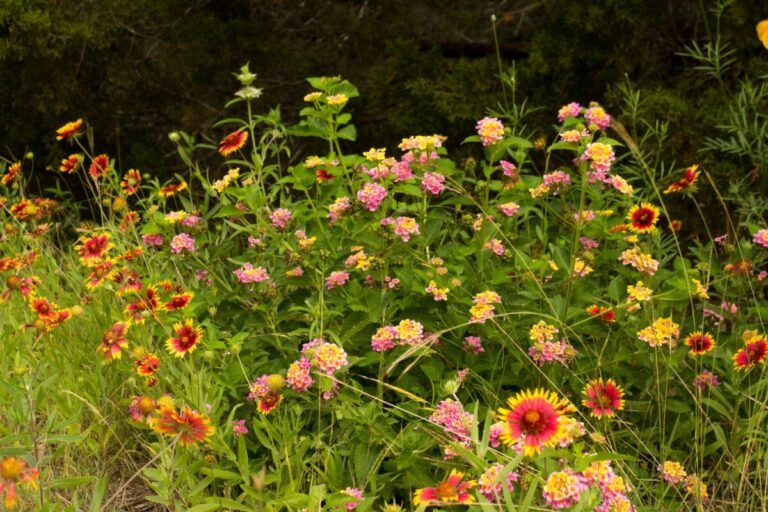 45 Common Types Of Tennessee Wildflowers Including Photos Mich