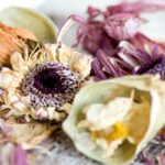 A Complete Guide On How To Dry Flowers With Silica Gel