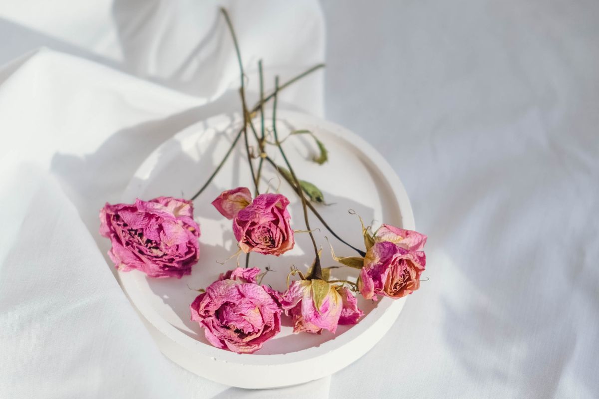 Flowers You Can Dry Using Silica gel