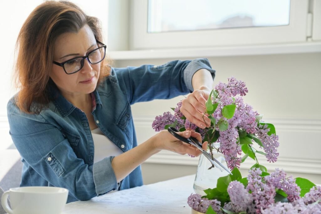 How to Propagate Lilacs Succesfully