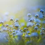 right side na kapag sa left naman