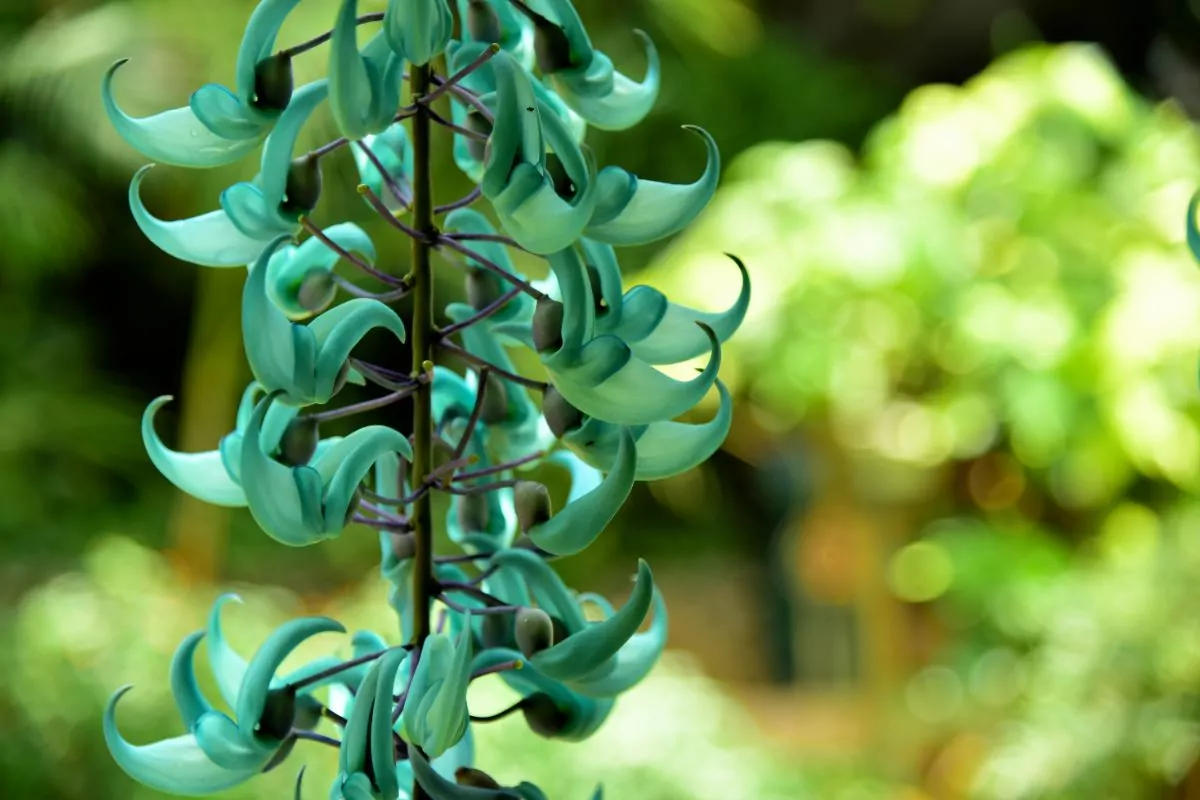 10 Beautiful Types Of Wildflowers You May Not Have Seen