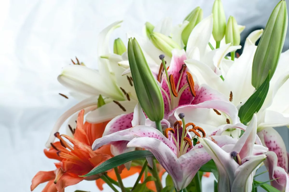 40 Beautiful Types Of Flowers In Arrangements You May Not Have Seen