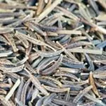 Cosmos Seeds - Growing Cosmos From Seed To Flower